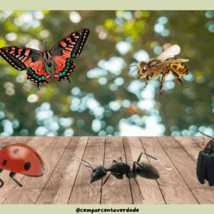 Apostila Educativa: Insetos