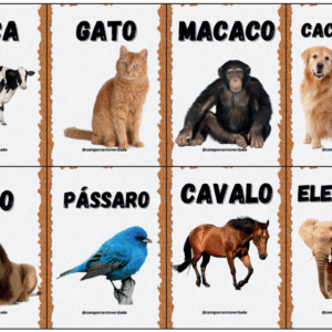 Card: Animais
